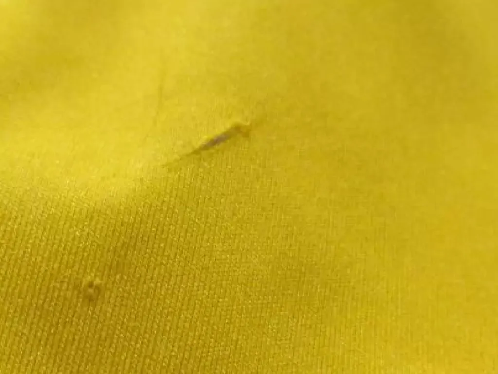 Backcountry Notchtop GORE-TEX Active Jacket