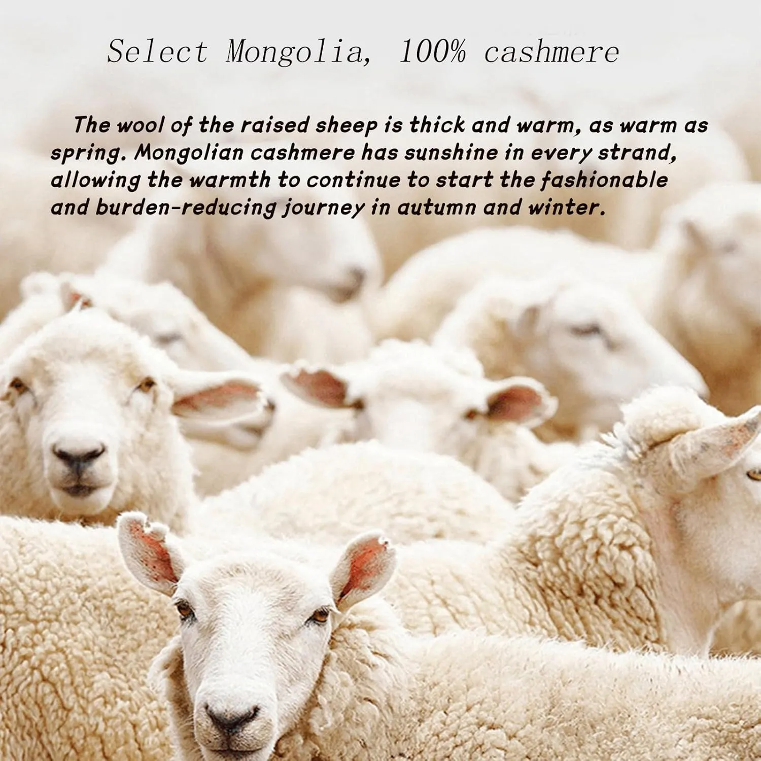 Cashmere Sweaters for Women, 100% Cashmere Crew Neck Warm Light Long Sleeve Elegant Soft Pullover Sweater