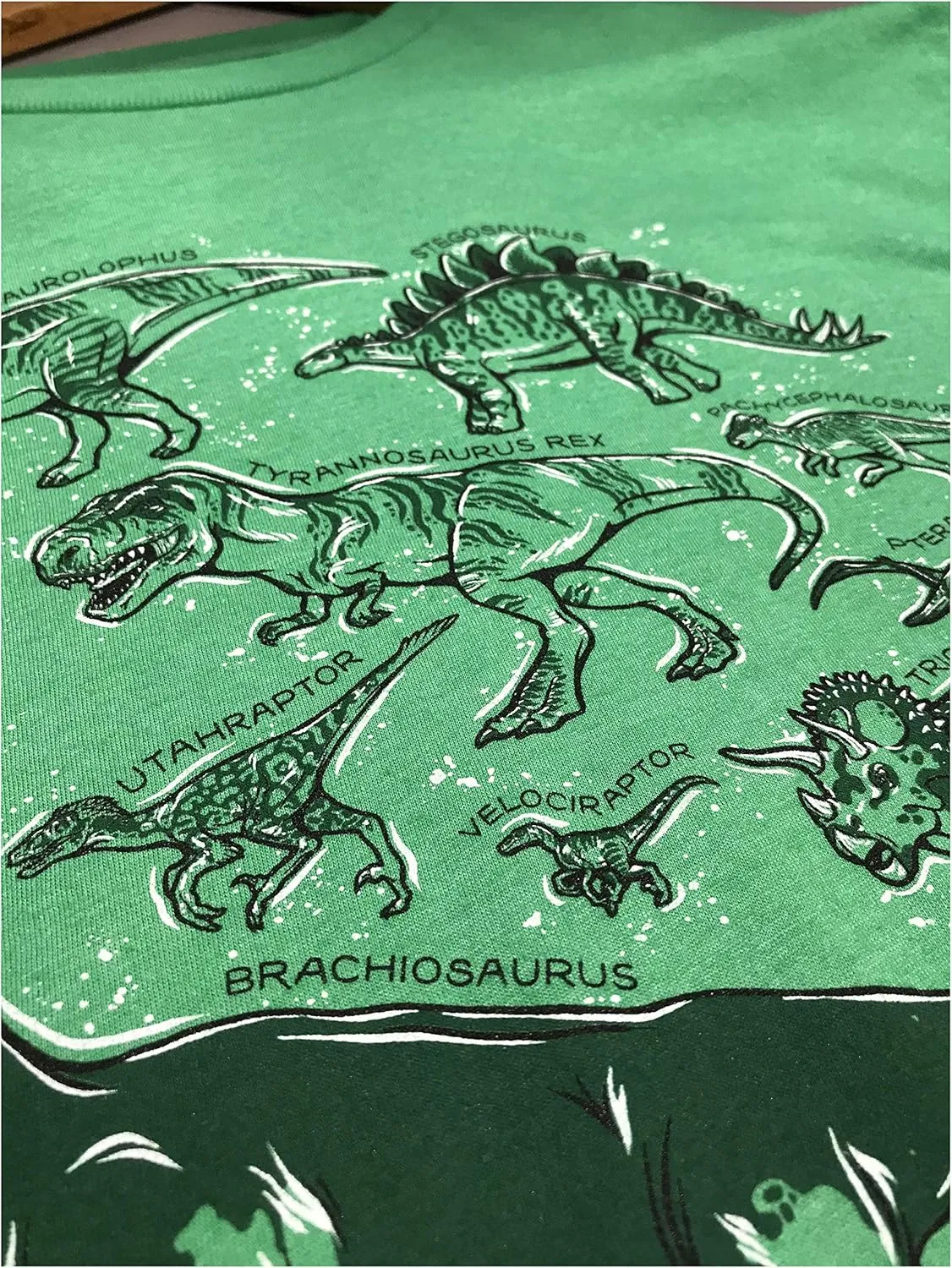 Dinosaur Species | Dino Fan Party Costume T-Rex Raptor Shirt Men Women T-Shirt