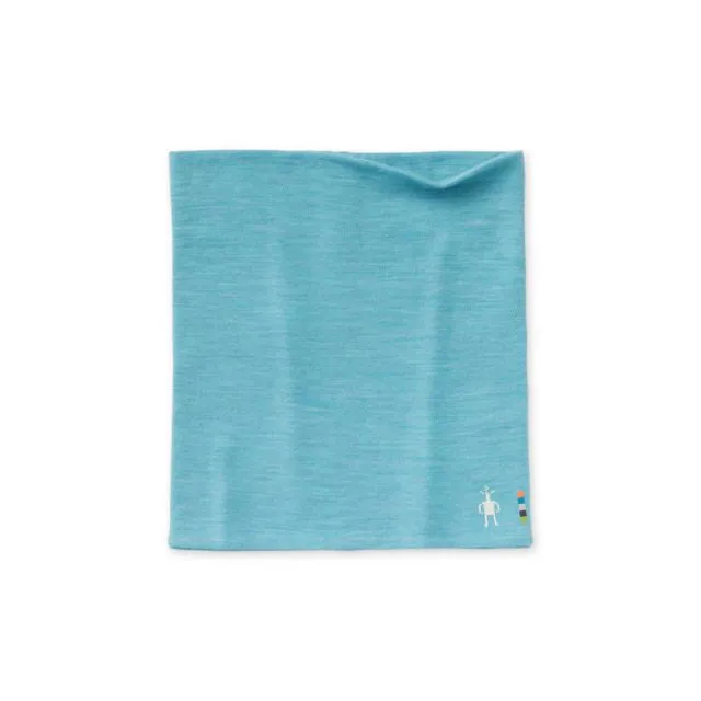 Merino 250 Neck Gaiter
